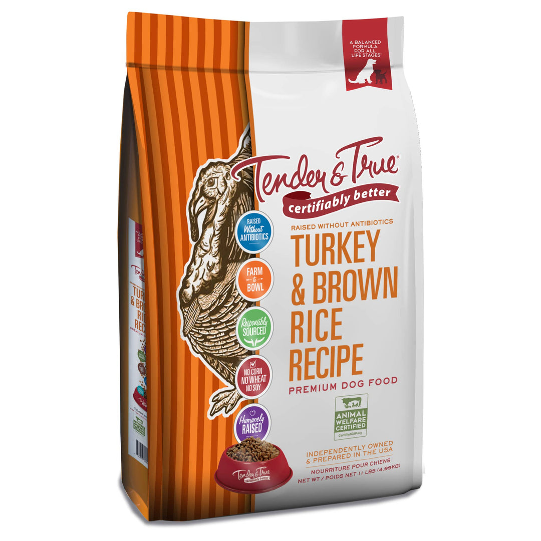 Turkey & Brown Rice Recipe Dry Dog Food, M/L bag