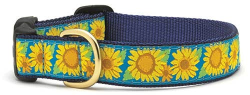 Up Country- Bright Sunflower Collar: XL