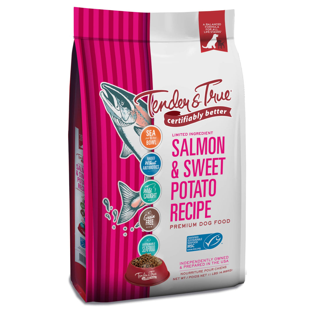 Salmon & Sweet Potato Recipe Dry Dog Food, M/L bag