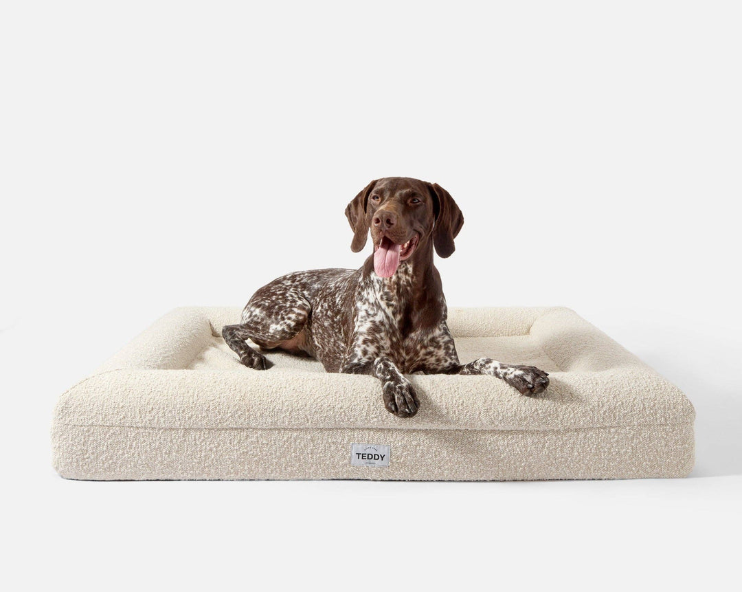 LARGE BOUCLE DOG AND CAT BED
